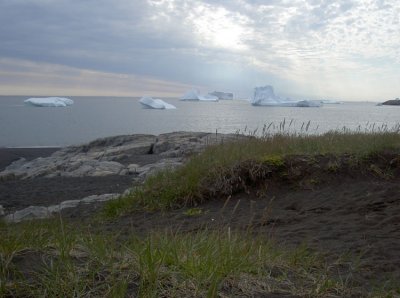 Icebergs