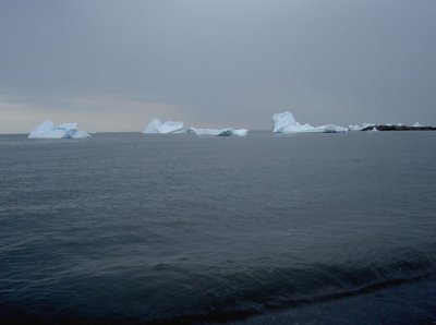 icebergs-364.jpg