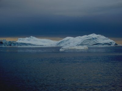 icebergs-365.jpg