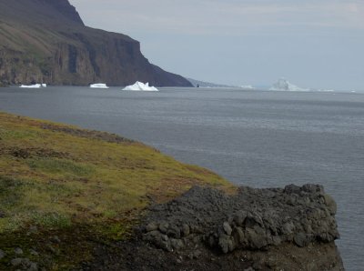 mer-372.jpg