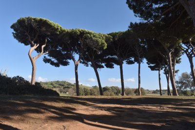 populonia1.jpg