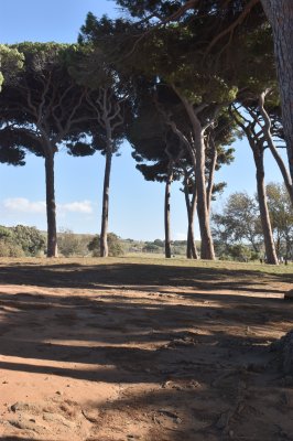 populonia2.jpg