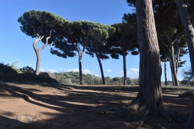 populonia6.jpg