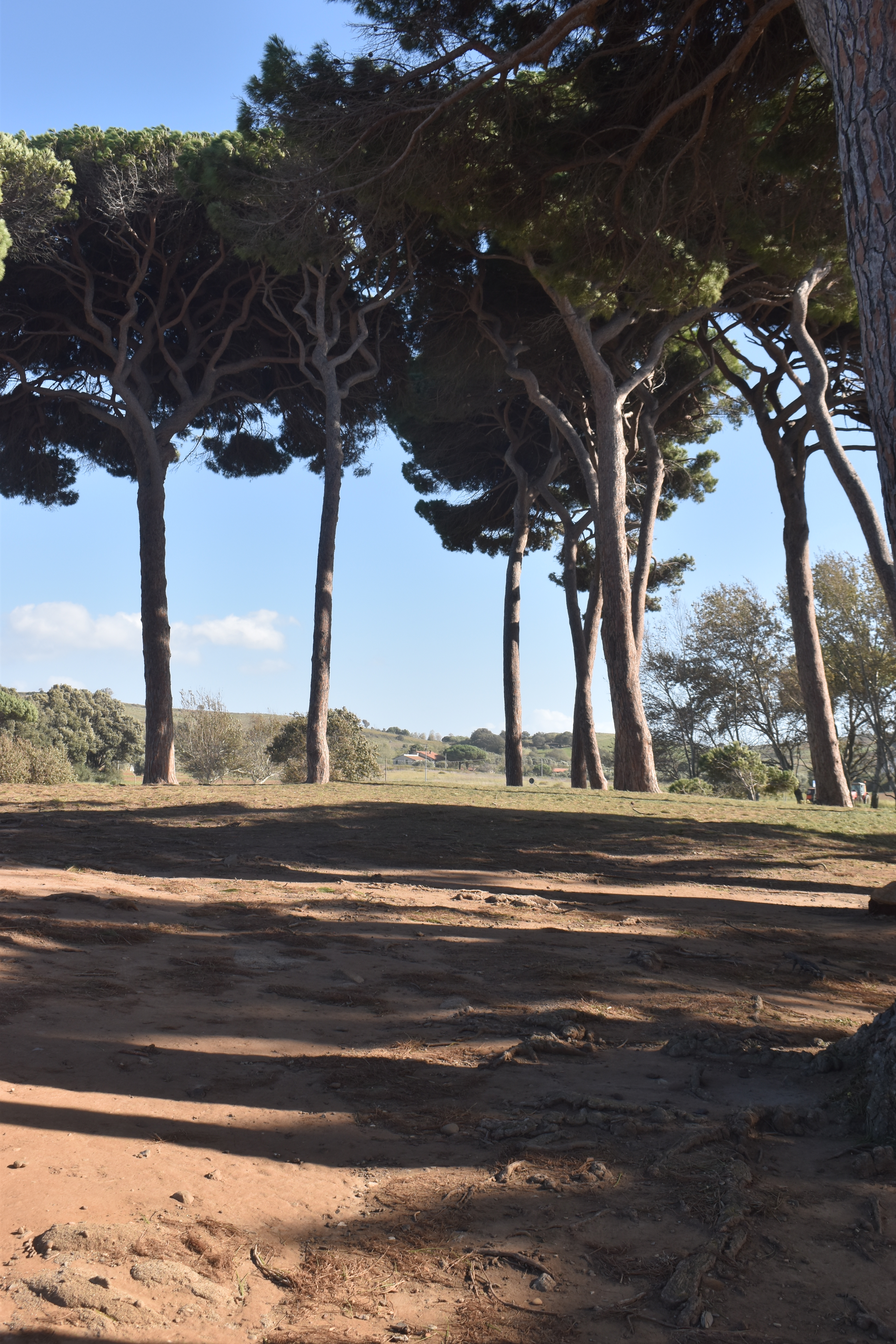 2025 Toscana